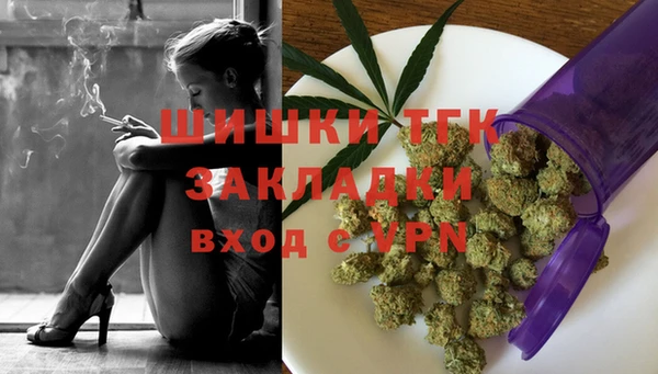 дживик Лагань
