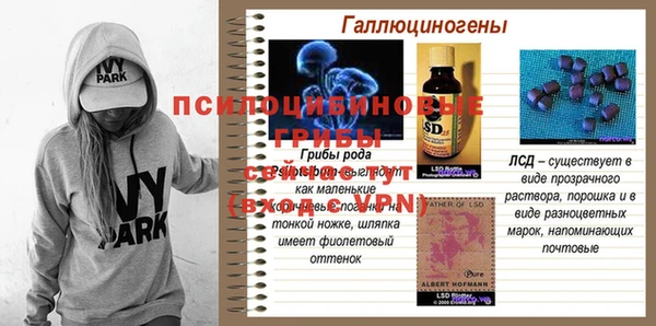 дживик Лагань