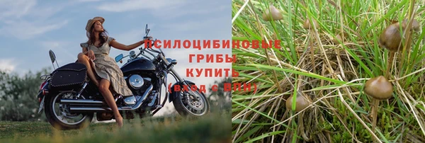 дживик Лагань