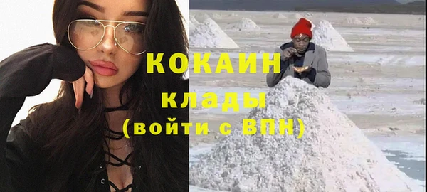 дживик Лагань