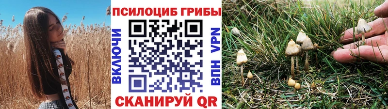 Галлюциногенные грибы прущие грибы  мега вход  Данилов 